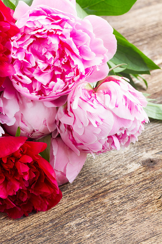 Duft-Teelichte "Fresh Flowers" mit 7 Stunden Brenndauer 18er Pack